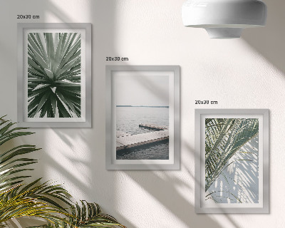 Ensemble de 3 tableaux Plante à feuilles de palmier et jetée en bois