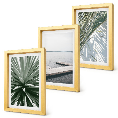 Ensemble de 3 tableaux Plante à feuilles de palmier et jetée en bois