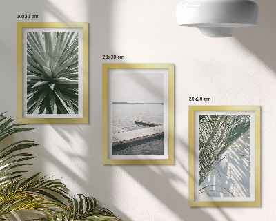 Ensemble de 3 tableaux Plante à feuilles de palmier et jetée en bois