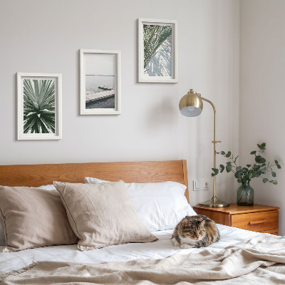 Ensemble de 3 tableaux Plante à feuilles de palmier et jetée en bois