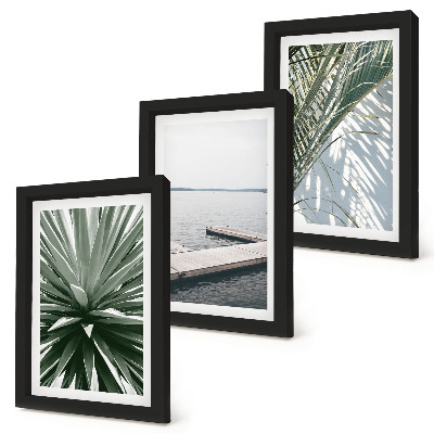 Ensemble de 3 tableaux Plante à feuilles de palmier et jetée en bois
