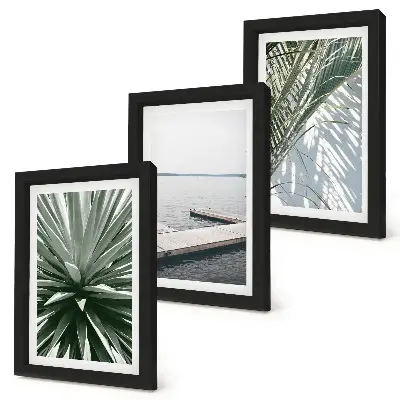 Ensemble de 3 tableaux représentant une plante à feuilles de palmier et une jetée en bois
