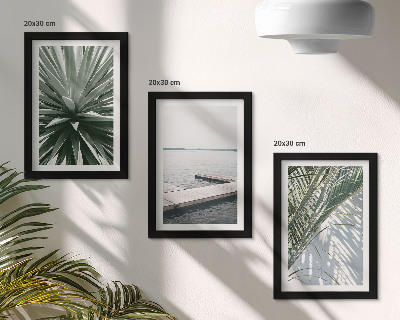 Ensemble de 3 tableaux Plante à feuilles de palmier et jetée en bois