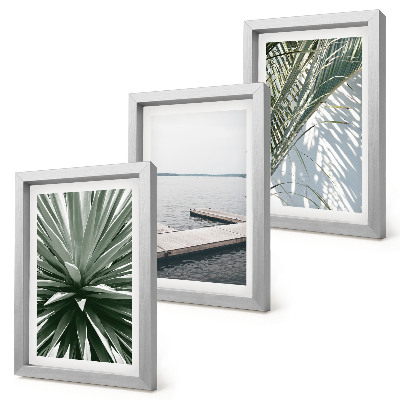 Ensemble de 3 tableaux Plante à feuilles de palmier et jetée en bois