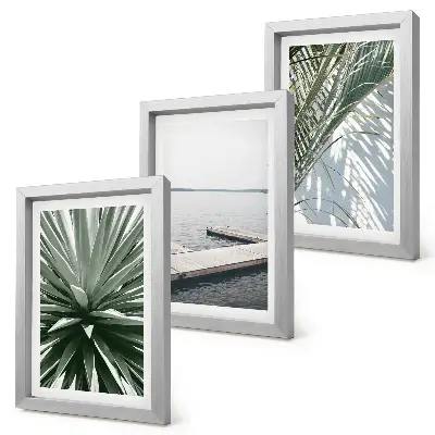 Ensemble de 3 tableaux représentant une plante à feuilles de palmier et une jetée en bois