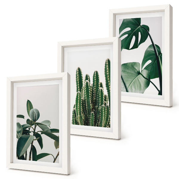 Mur de cadres Plantes d'intérieur tropicales à feuilles esthétiques