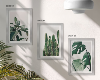 Mur de cadres Plantes d'intérieur tropicales à feuilles esthétiques