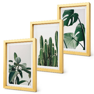 Mur de cadres Plantes d'intérieur tropicales à feuilles esthétiques