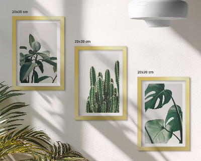 Mur de cadres Plantes d'intérieur tropicales à feuilles esthétiques