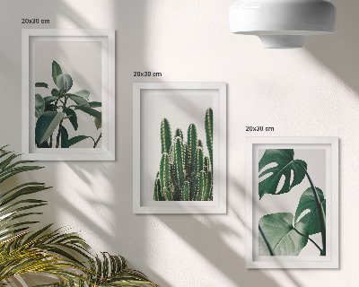 Mur de cadres Plantes d'intérieur tropicales à feuilles esthétiques