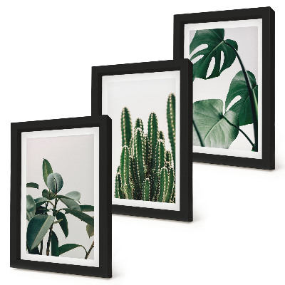 Mur de cadres Plantes d'intérieur tropicales à feuilles esthétiques