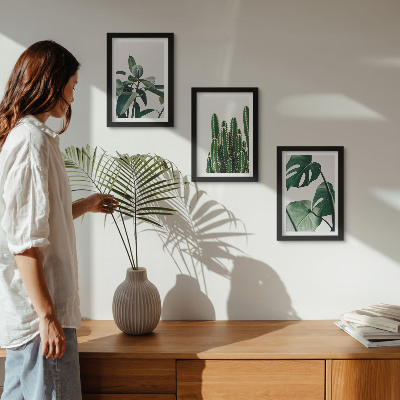 Mur de cadres Plantes d'intérieur tropicales à feuilles esthétiques