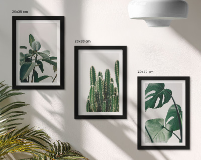 Mur de cadres Plantes d'intérieur tropicales à feuilles esthétiques