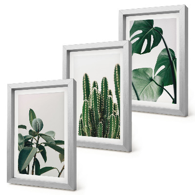 Mur de cadres Plantes d'intérieur tropicales à feuilles esthétiques