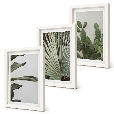 Mur de cadres Feuilles de plantes tropicales aux couleurs pastel