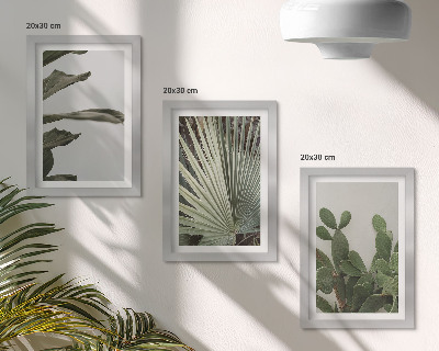 Mur de cadres Feuilles de plantes tropicales aux couleurs pastel