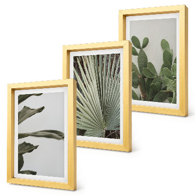 Mur de cadres Feuilles de plantes tropicales aux couleurs pastel