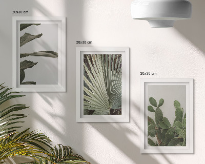 Mur de cadres Feuilles de plantes tropicales aux couleurs pastel
