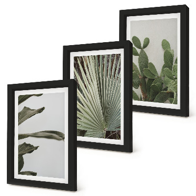 Mur de cadres Feuilles de plantes tropicales aux couleurs pastel