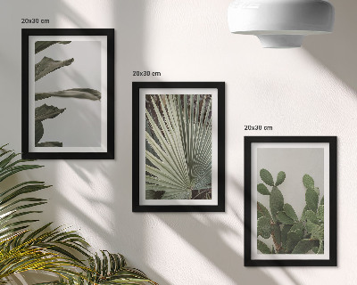 Mur de cadres Feuilles de plantes tropicales aux couleurs pastel