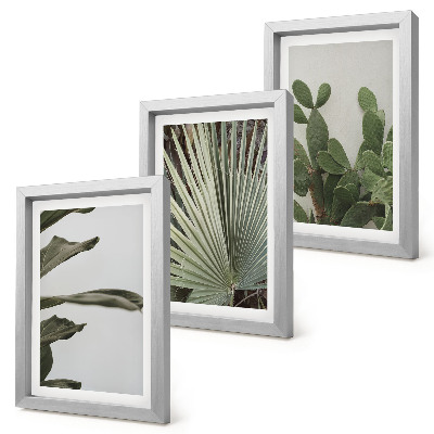 Mur de cadres Feuilles de plantes tropicales aux couleurs pastel