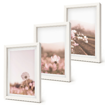 Mur de cadres Fleurs sauvages dans les prairies en été, paysages romantiques