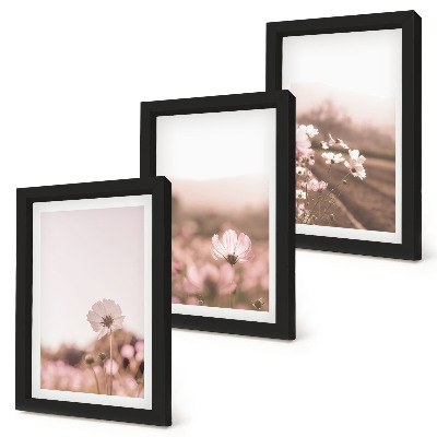 Mur de cadres Fleurs sauvages dans les prairies en été, paysages romantiques