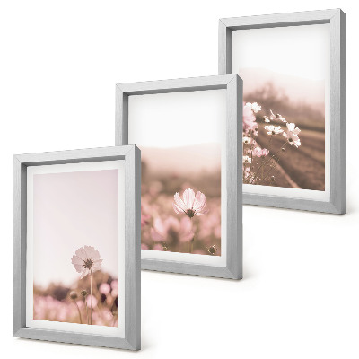 Mur de cadres Fleurs sauvages dans les prairies en été, paysages romantiques