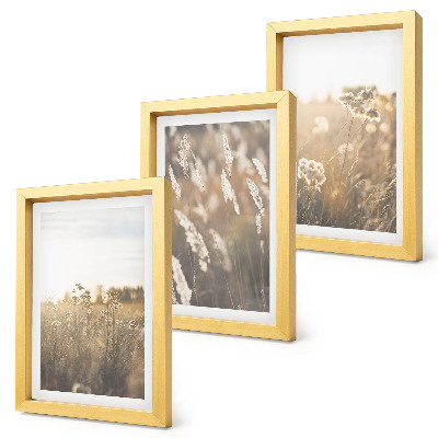 Lot de 3 tableaux Un paysage d'herbes et de fleurs aux teintes chaudes