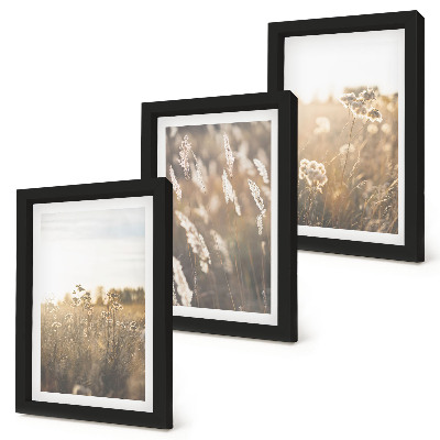 Lot de 3 tableaux Un paysage d'herbes et de fleurs aux teintes chaudes