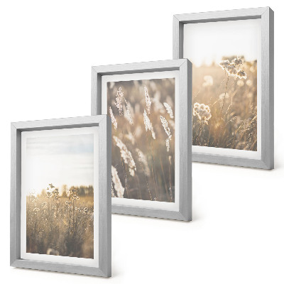 Lot de 3 tableaux Un paysage d'herbes et de fleurs aux teintes chaudes