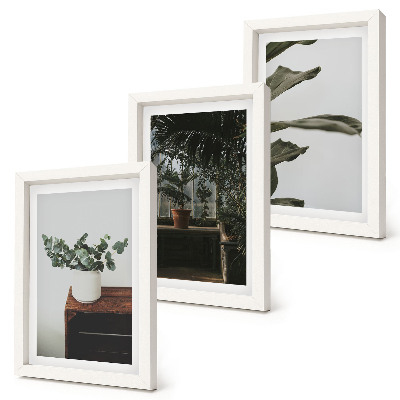 Mur de cadres Plantes en pot aux feuilles rustiques
