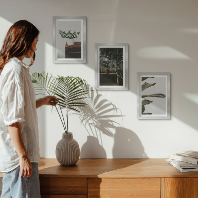 Mur de cadres Plantes en pot aux feuilles rustiques