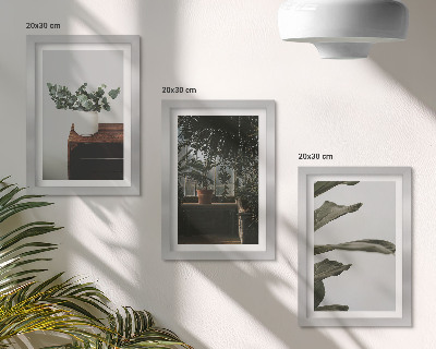 Mur de cadres Plantes en pot aux feuilles rustiques