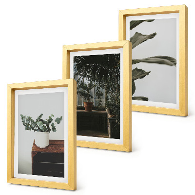 Mur de cadres Plantes en pot aux feuilles rustiques