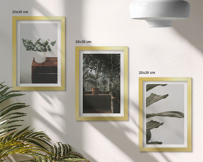 Mur de cadres Plantes en pot aux feuilles rustiques