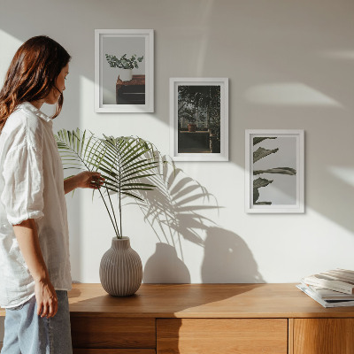 Mur de cadres Plantes en pot aux feuilles rustiques