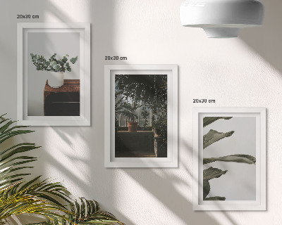 Mur de cadres Plantes en pot aux feuilles rustiques