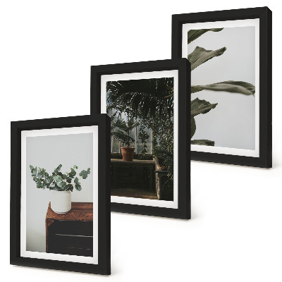 Mur de cadres Plantes en pot aux feuilles rustiques