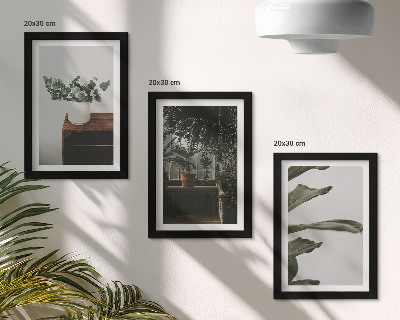 Mur de cadres Plantes en pot aux feuilles rustiques