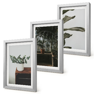 Mur de cadres Plantes en pot aux feuilles rustiques