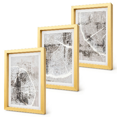 Ensemble de 3 tableaux Motifs de grain de bois dans des tons de gris et de blanc