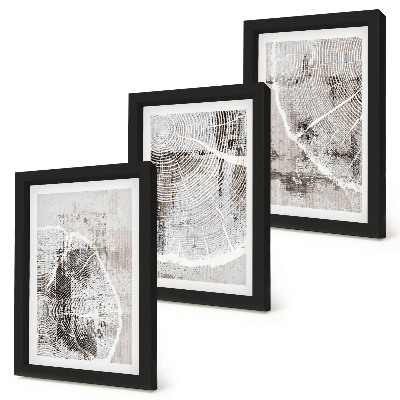 Ensemble de 3 tableaux Motifs de grain de bois dans des tons de gris et de blanc