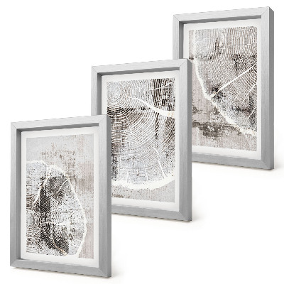 Ensemble de 3 tableaux Motifs de grain de bois dans des tons de gris et de blanc