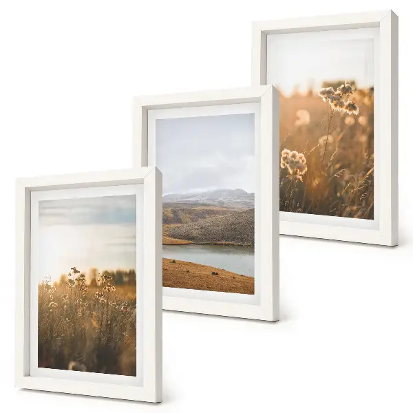 Mur de cadres représentant des paysages de prairies, de montagnes et de lac