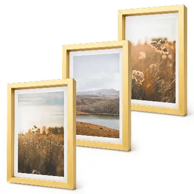 Mur de cadres représentant des paysages de prairies, de montagnes et de lac