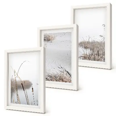 Lot de 3 tableaux représentant une végétation aquatique aux douces vues estivales