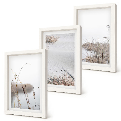 Lot de 3 tableaux Végétation aquatique délicate vues estivales