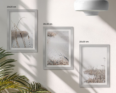 Lot de 3 tableaux Végétation aquatique délicate vues estivales