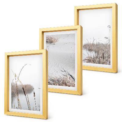 Lot de 3 tableaux Végétation aquatique délicate vues estivales